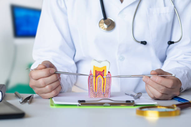 Best Emergency Wisdom Teeth Removal in Gallatin, TN